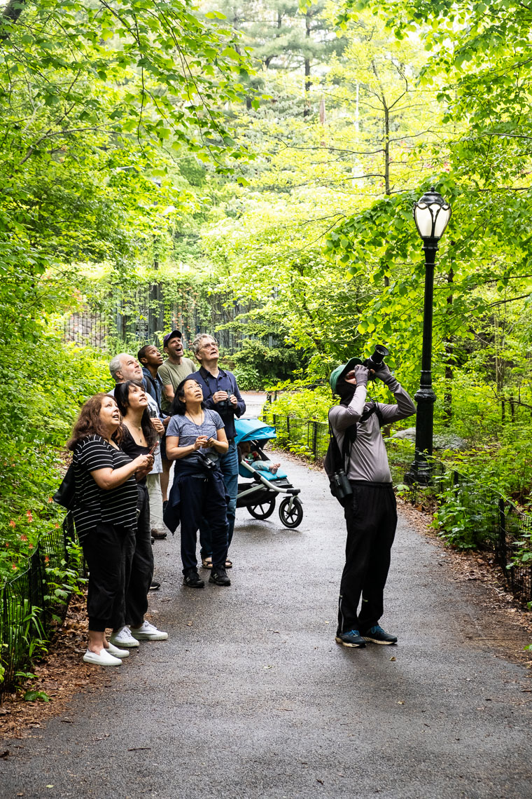 Birders_Looking_At_Owl_Central_Park_2022