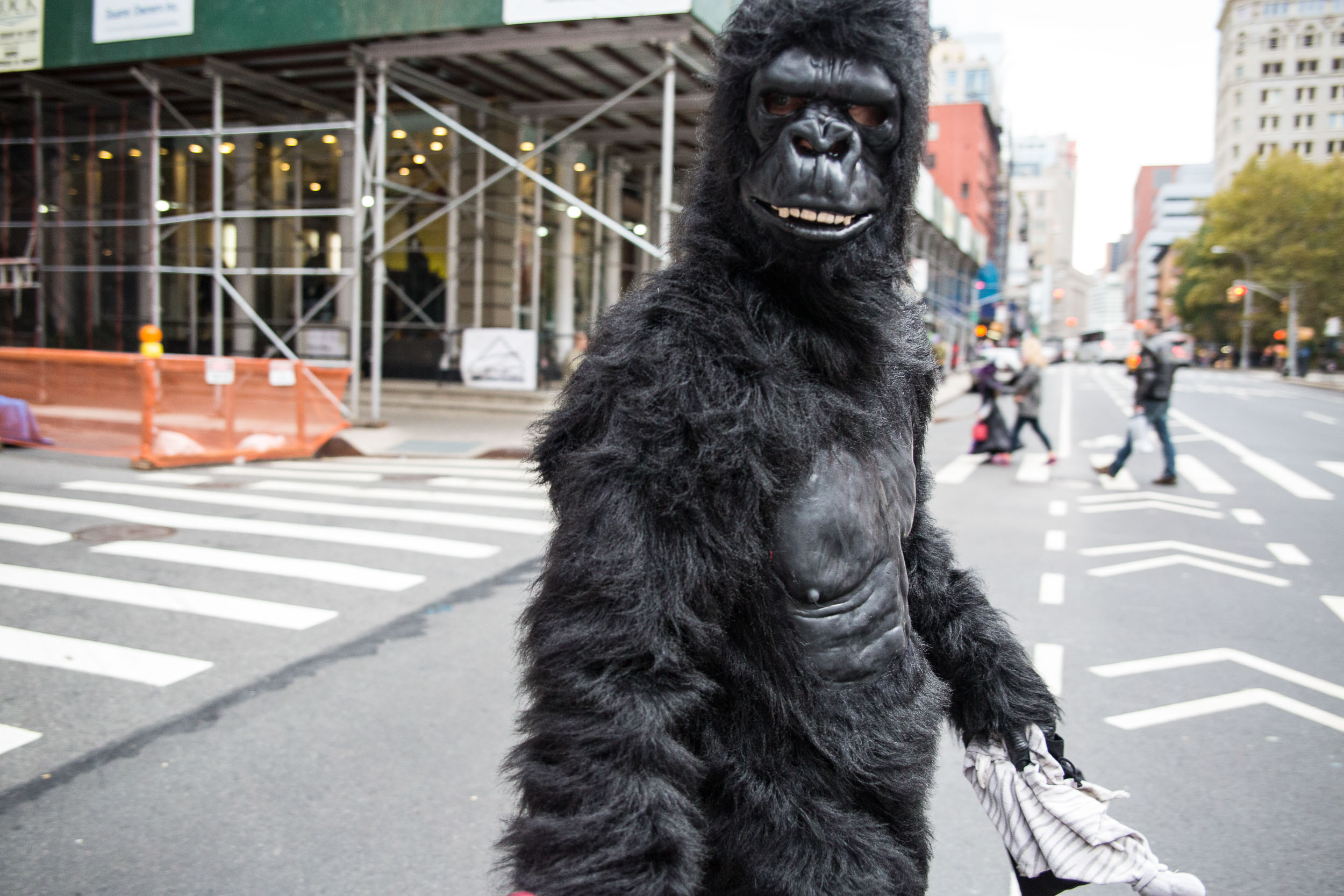 Halloween gorilla suit in tribeca